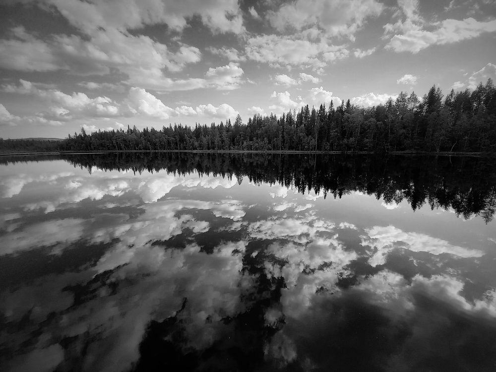 Photograph by Anna Perevozchikova