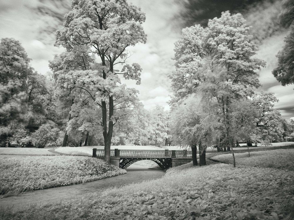 Photograph by Татьяна