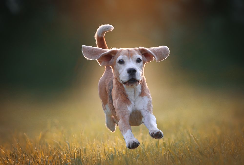 Photograph by Katerina Mumzhinskaya