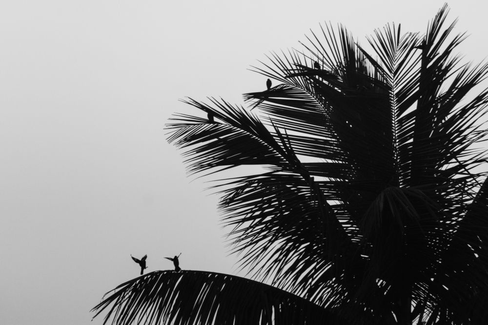 Photograph by Pritam Mandal