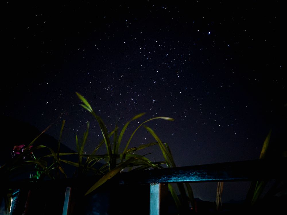 Photograph by Pritam Mandal