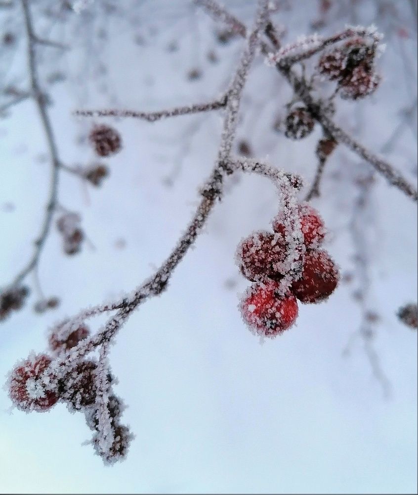 Photograph by Ольга