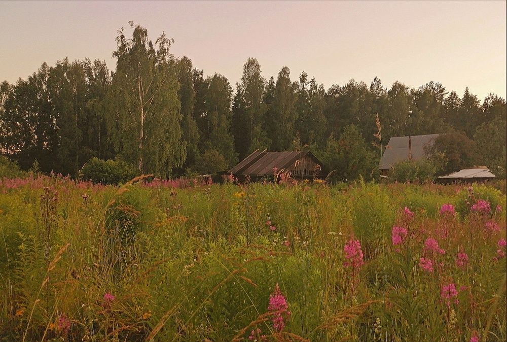 Photograph by Ольга