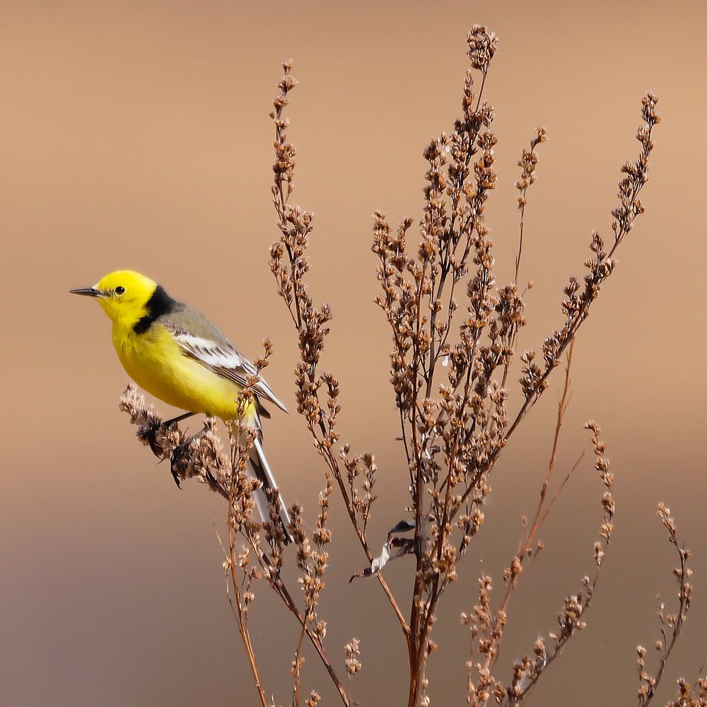 Photograph by Алексей