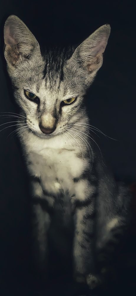 Photograph by Mahendra ponnapati