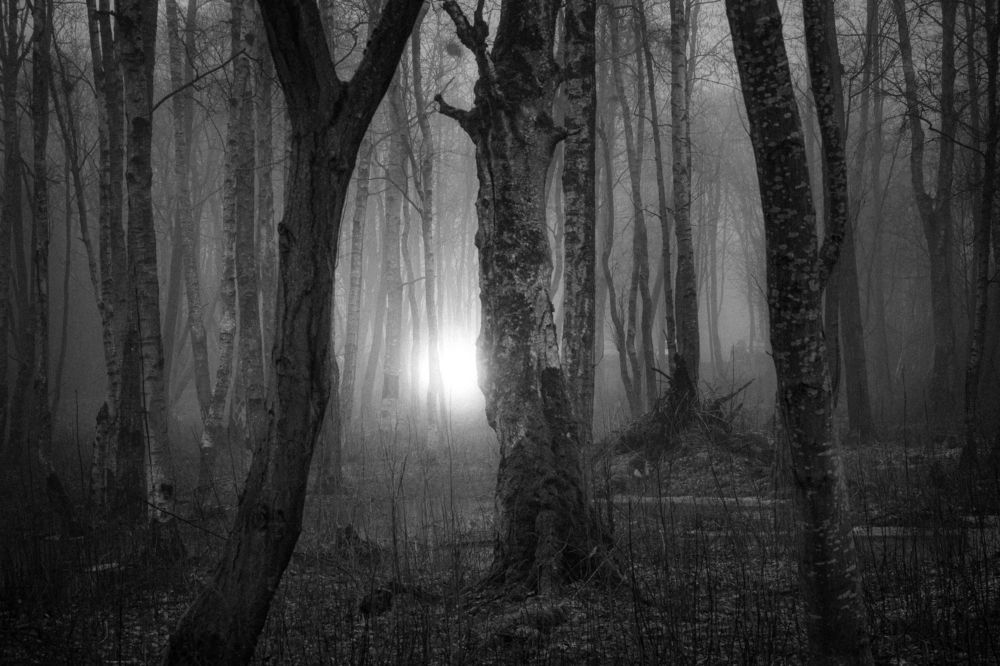 Photograph by Парфентьев Антон