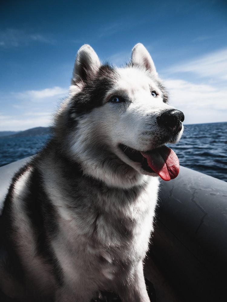 Photograph by Семен Тимофеев