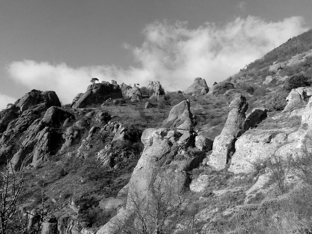 Photograph by Алёна Шкуратова