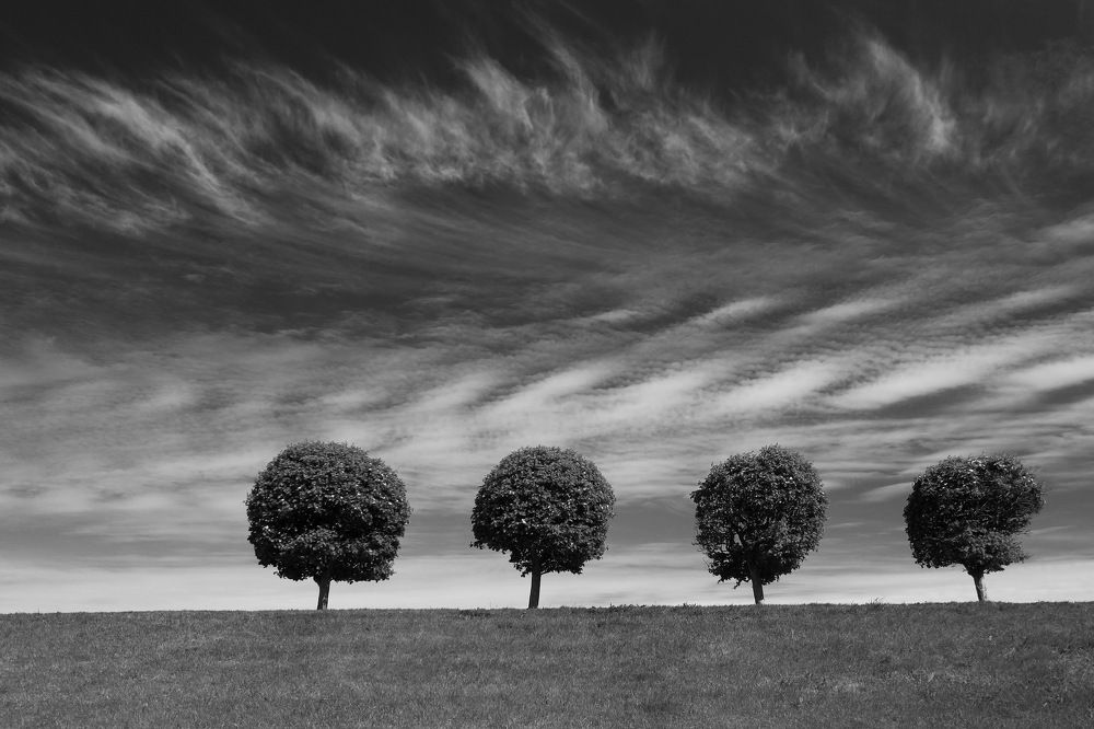 Photograph by Татьяна