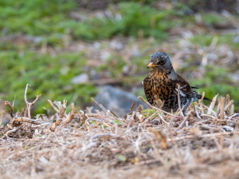 Photograph by Анна Шейко