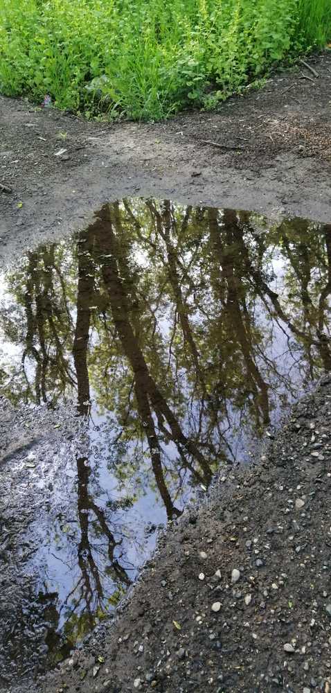 Photograph by Мила Мит