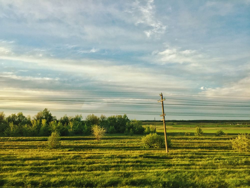 Photograph by Александр Лямцев