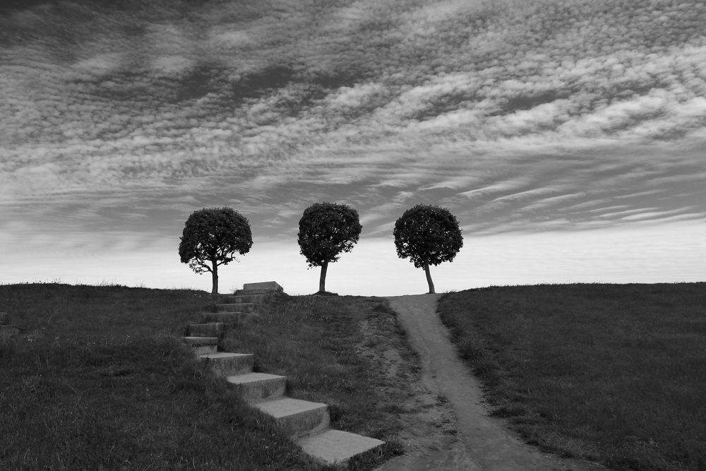 Photograph by Татьяна