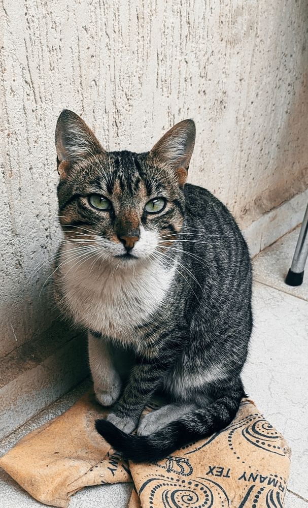 Photograph by Moussiqui Soukaina