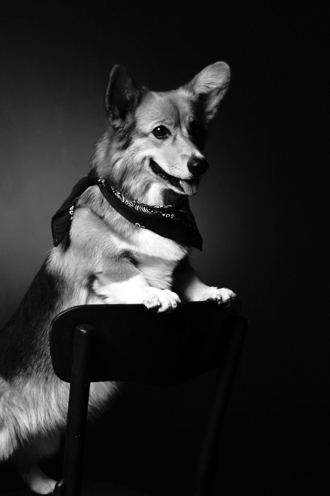 Photograph by Мария Тулякова