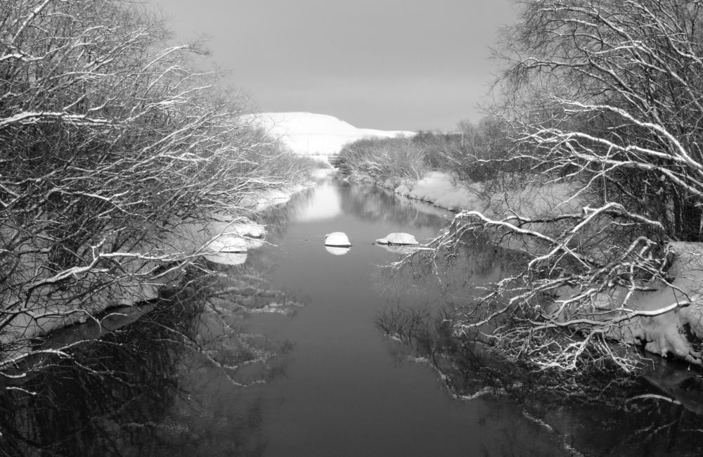 Photograph by Ирина Чечкина