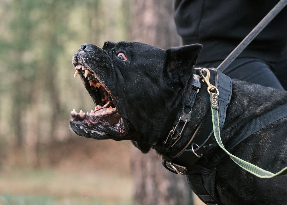 Photograph by Екатерина