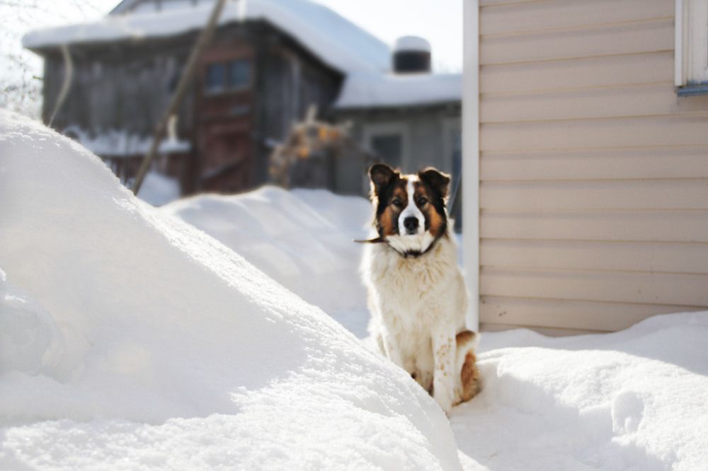 Photograph by Ольга Ермакова