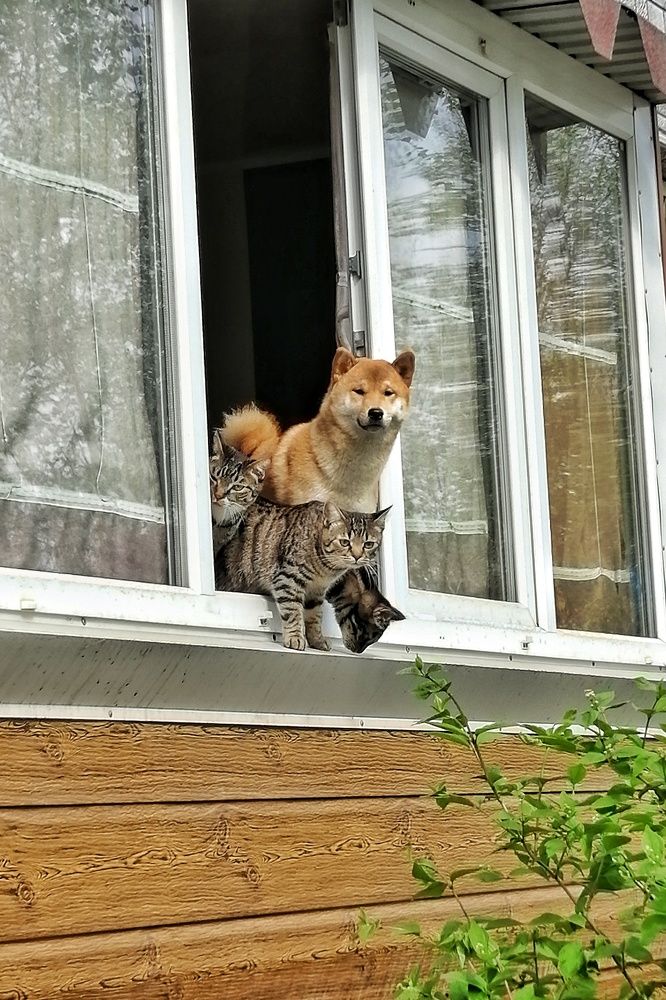 Фотография автора Fotolove Tasha