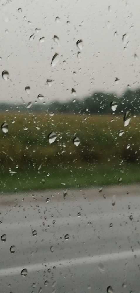 Photograph by Мила Мит