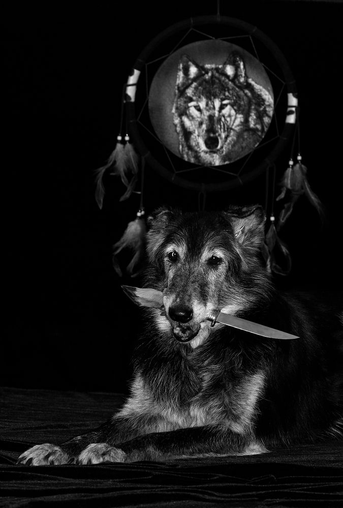 Фотография автора Надежда Лисицына