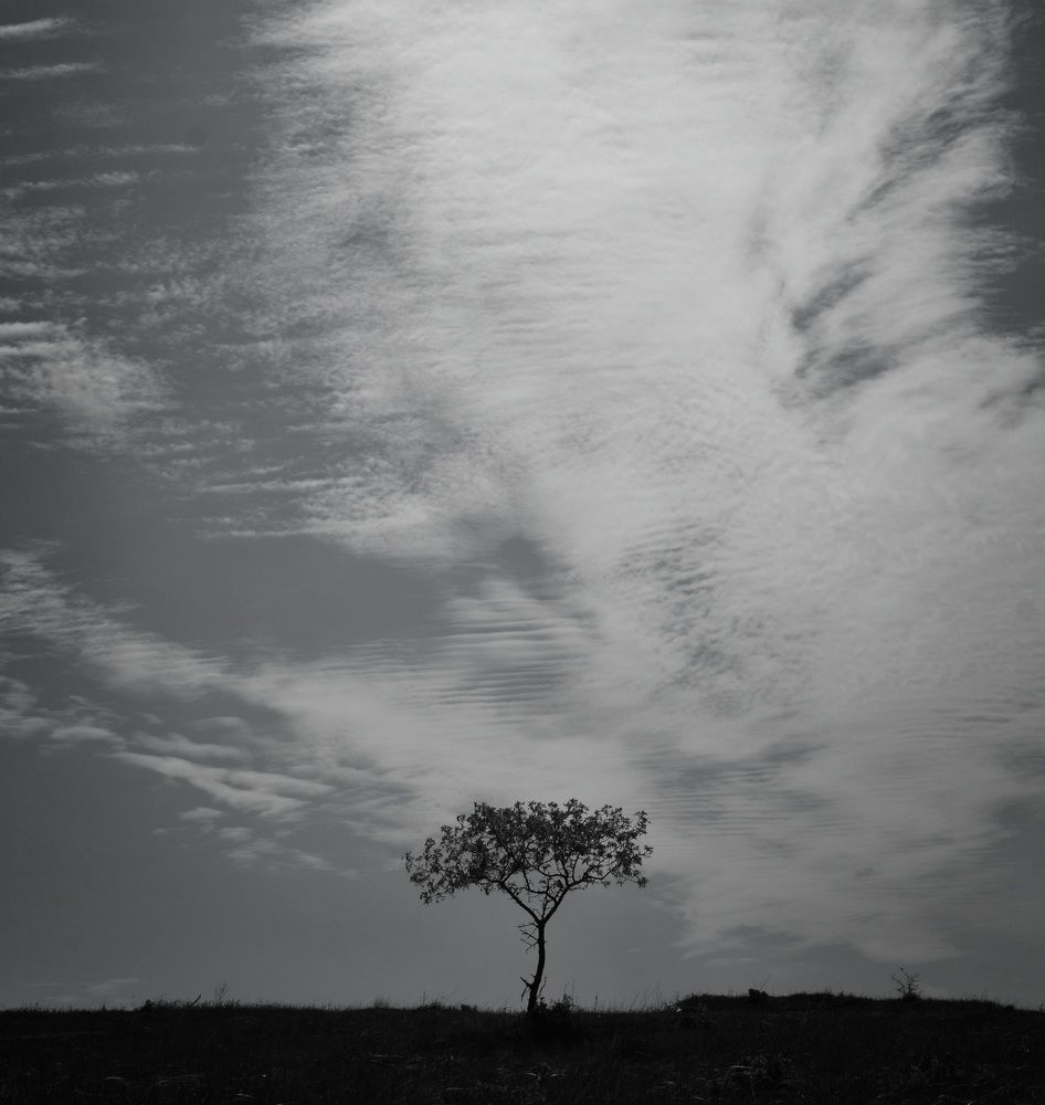 Photograph by Екатерина Гордеева