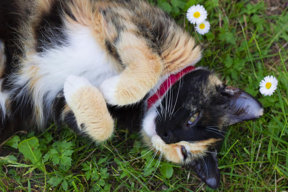 Photograph by Ирина Немчинова