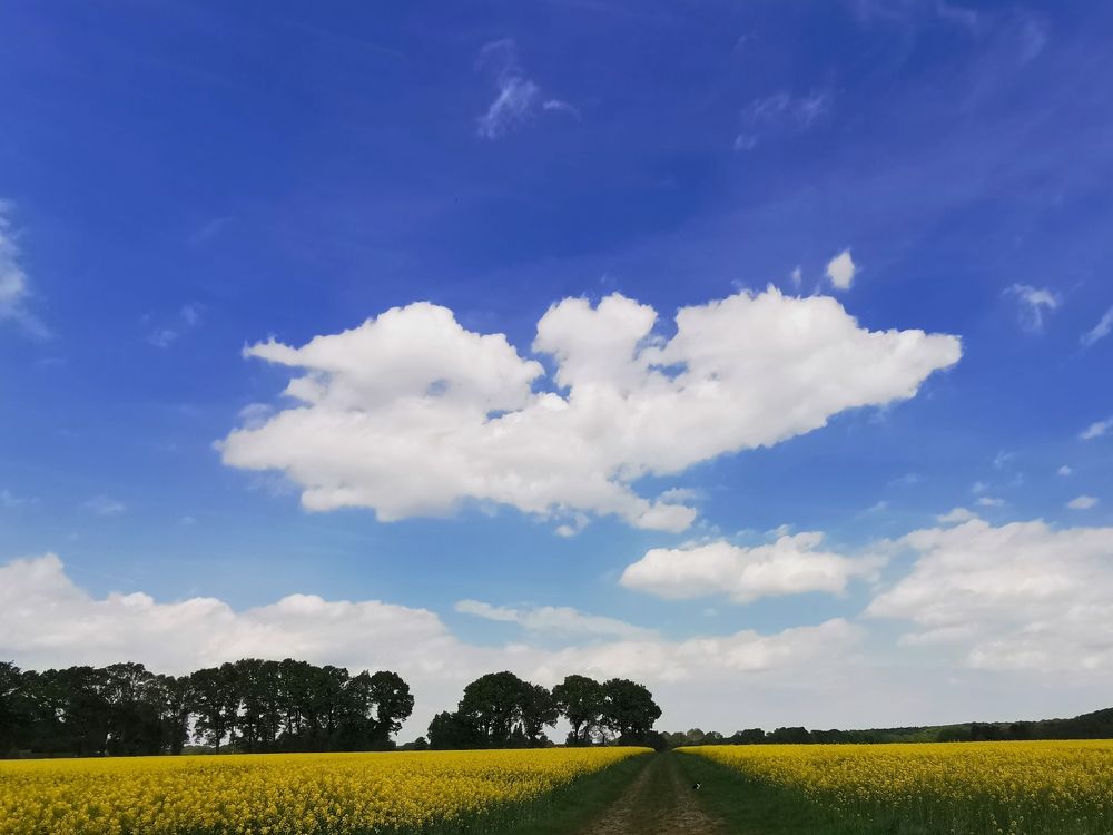 Photograph by Михаил Жарский