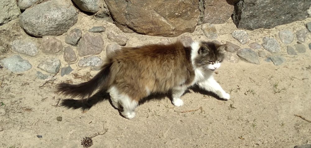 Photograph by Любовь Макарова