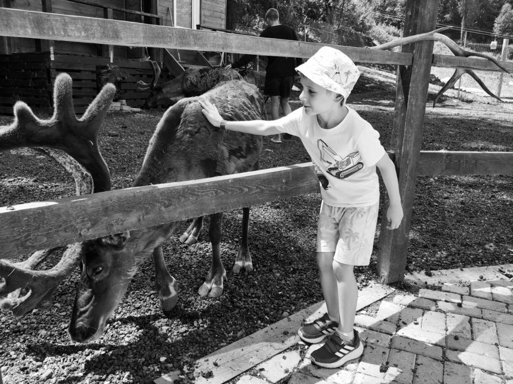 Photograph by Ника К