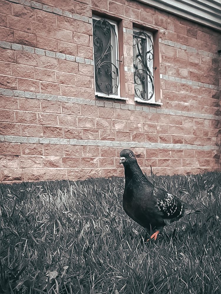 Photograph by Александра Кропивка