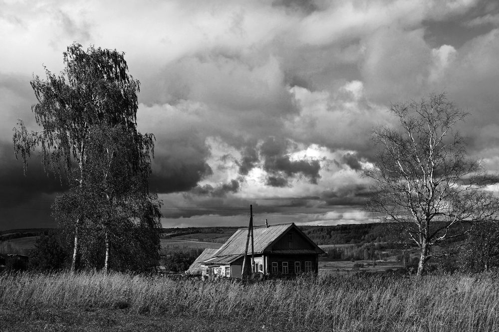 Русская изба, холмы, березки...