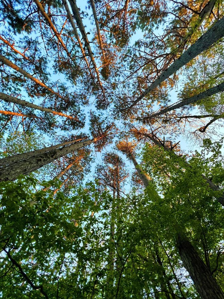 Photograph by Антонина Наговицына