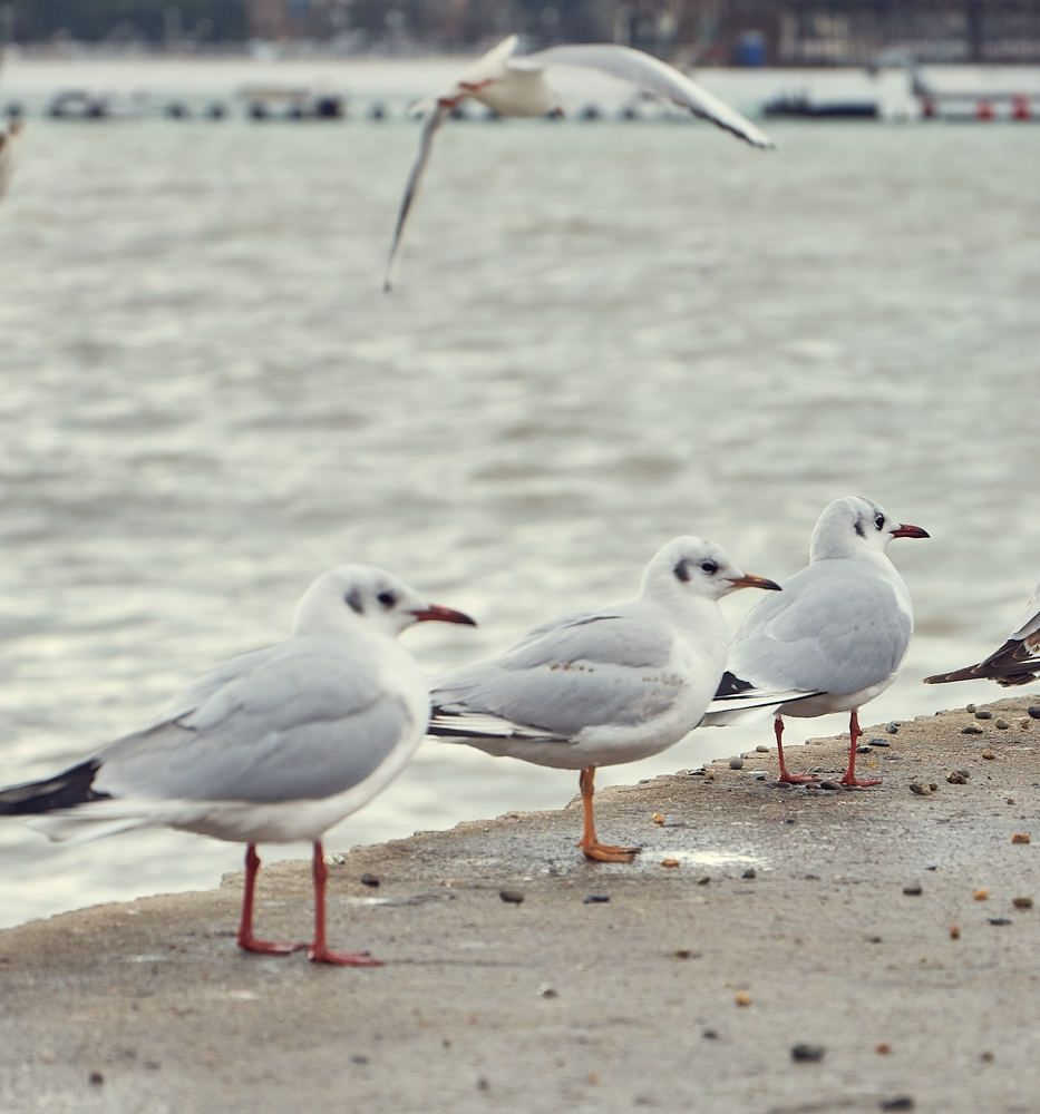 Photograph by Елизавета Осеева