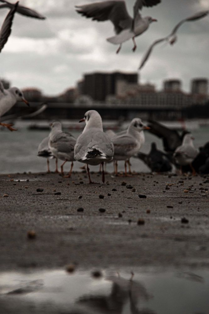 Photograph by Елизавета Осеева