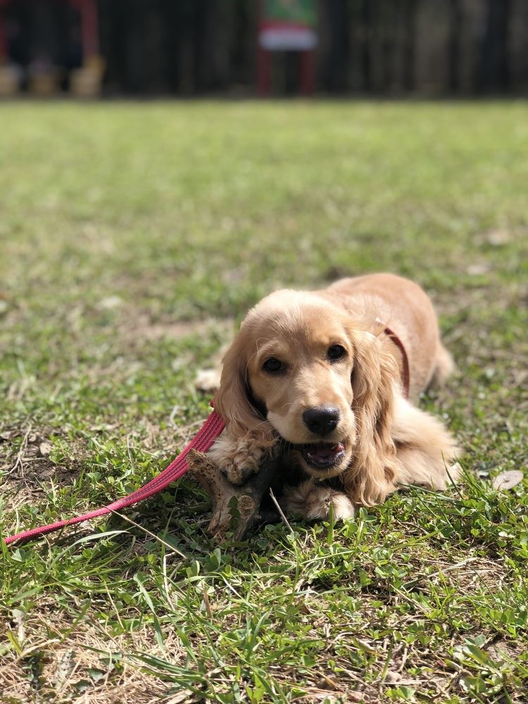 Photograph by Александра Голикова