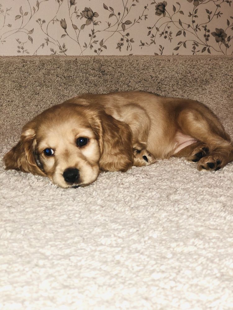 Photograph by Александра Голикова