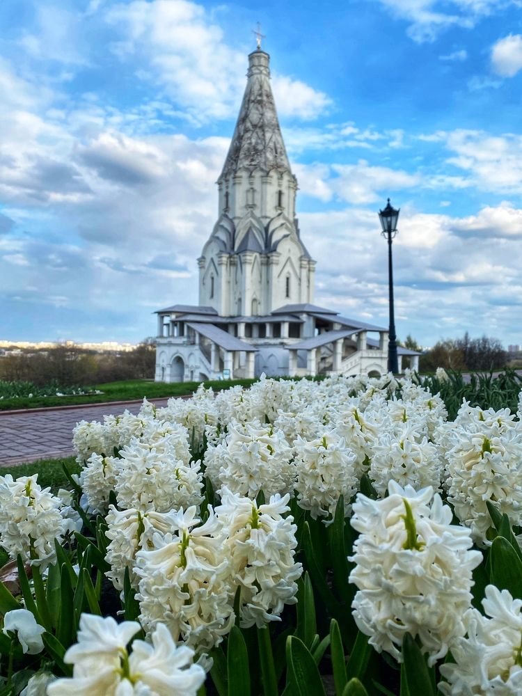 Photograph by Яна Лугинина