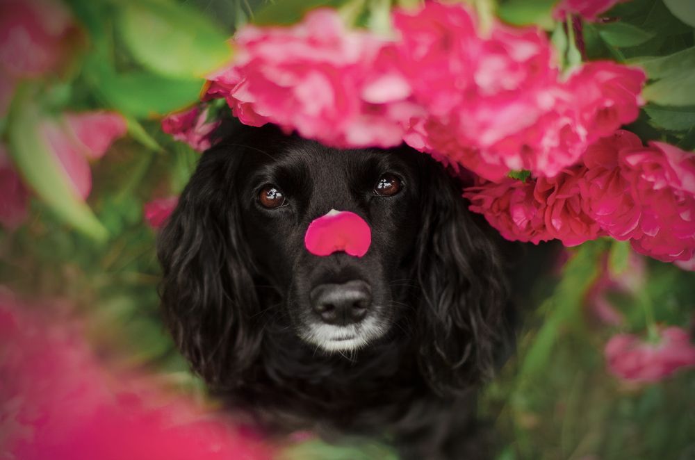 Photograph by Maryna