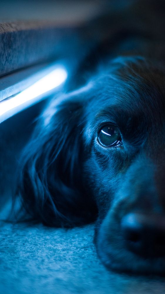 Photograph by Maryna