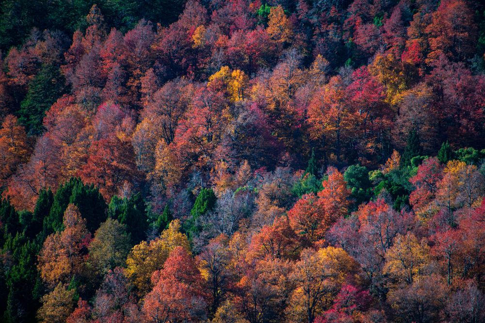 Photograph by MARCELO GIORGI