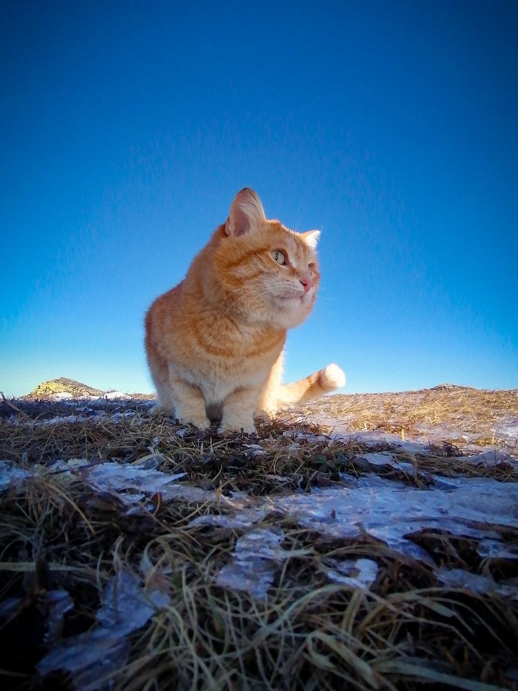 Photograph by Андрей Фадеев