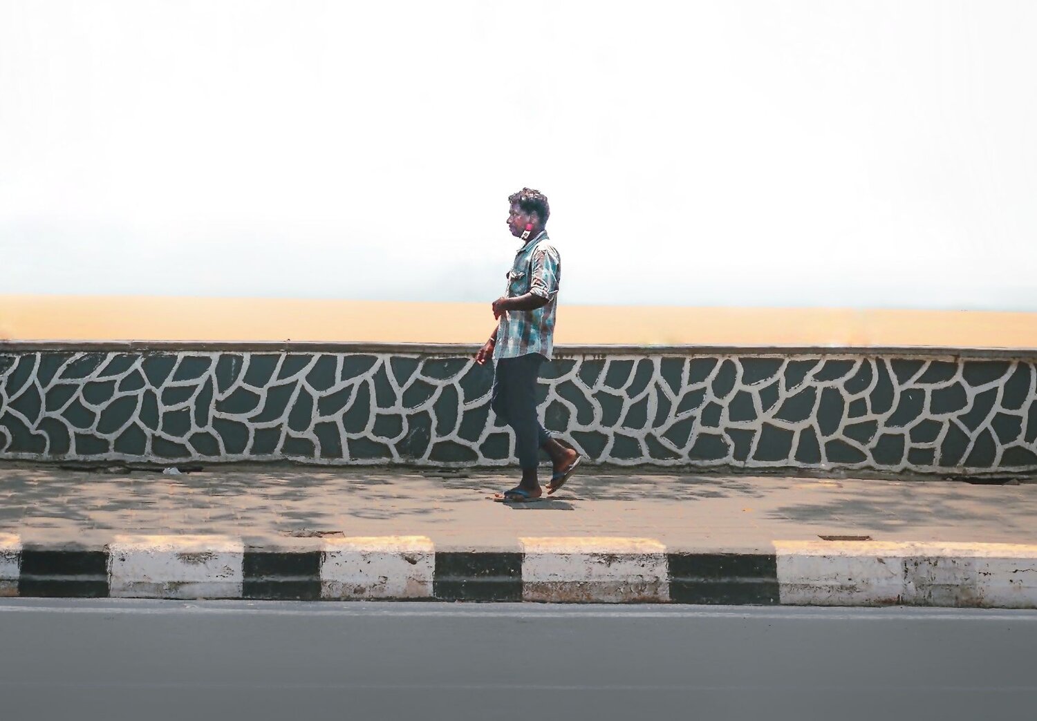 Photo #7570878