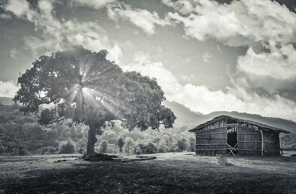 Photograph by Rohan Mahajan
