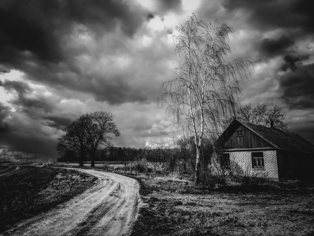 Photograph by Виталий Снегин