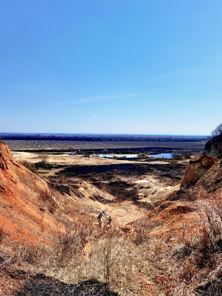 Марсианские хроники