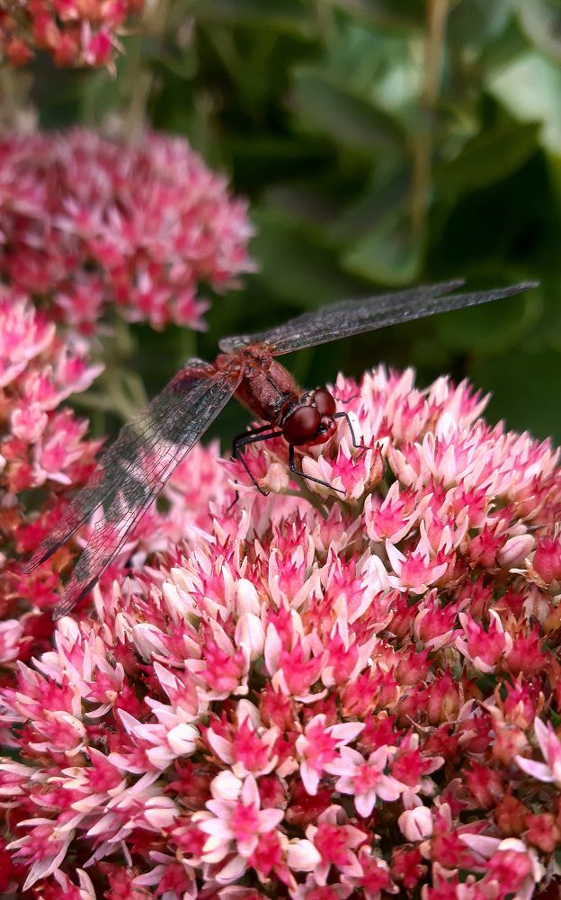 Photograph by Катя Бушная