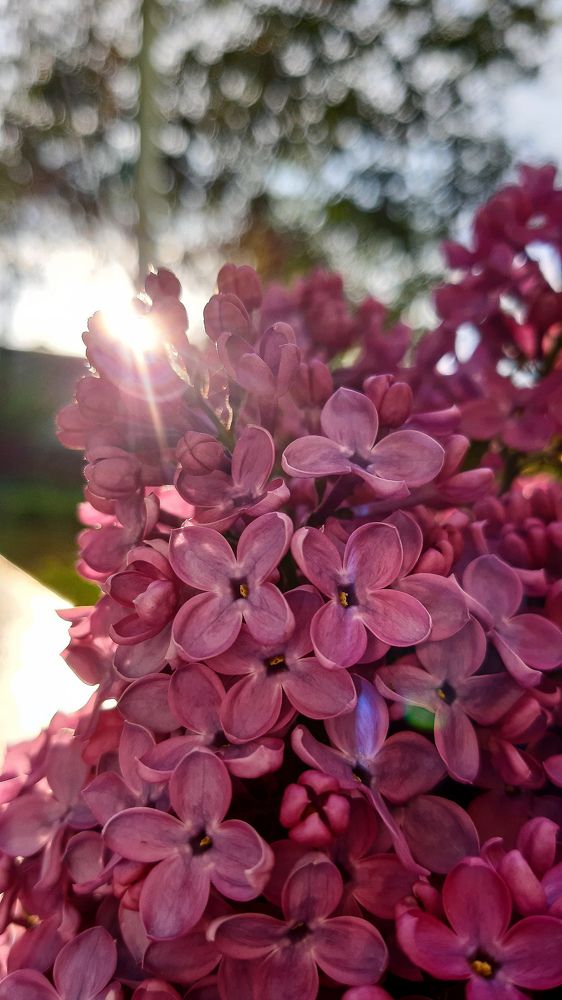 Photograph by Катя Бушная