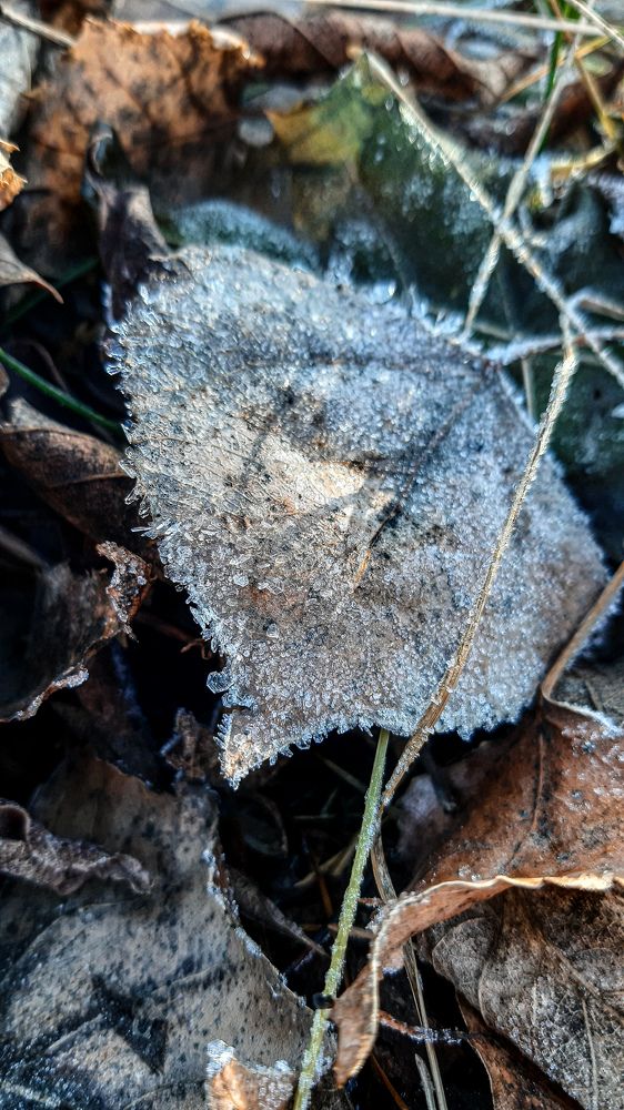 Photograph by Катя Бушная