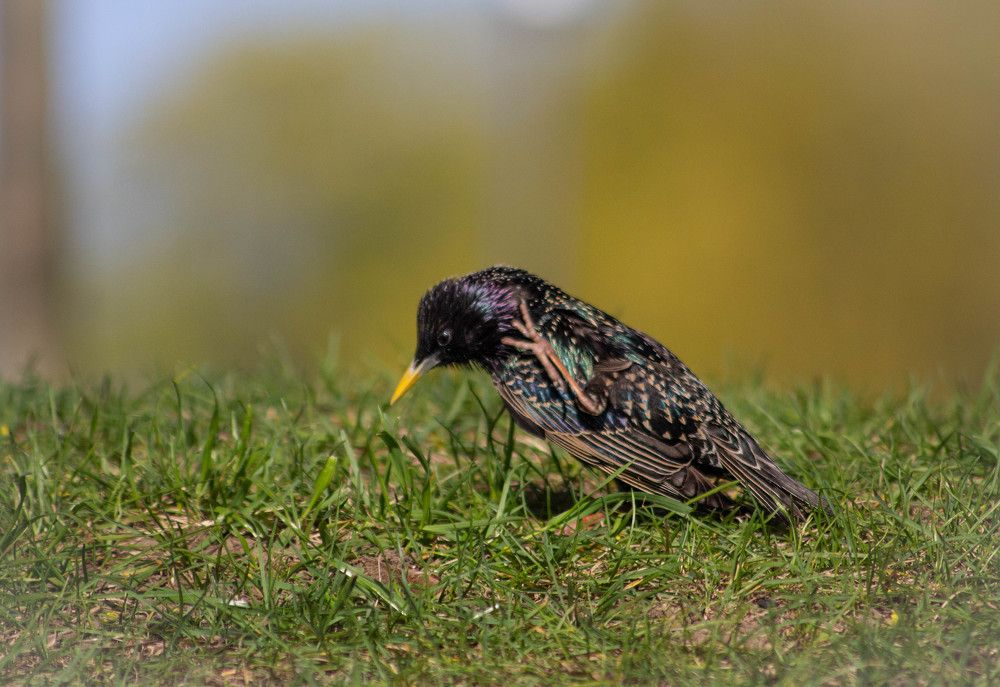 Photograph by Александра Баранова